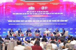 Chuyên gia: Việt Nam cần có động lực mới về tăng trưởng năng suất