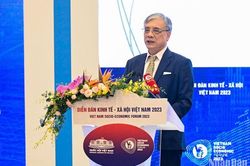 PGS, TS Trần Đình Thiên: 'Thông mạch, thông các nguồn lực' là vấn đề mấu chốt hiện nay