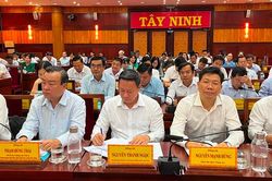Đảng bộ Tây Ninh kết nạp thêm 3.105 đảng viên mới