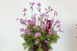 Cắm hoa dại kiểu này, ai nhìn cũng thích mê