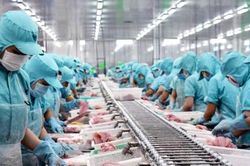 Quá trình gỡ thẻ vàng trong khai thác thủy hải sản của Việt Nam đang đi đúng hướng