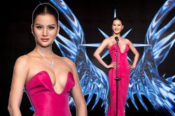 Vừa nhập cuộc Miss Universe Vietnam, Hương Ly đã bị công chúng 'quay xe'