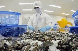 Xuất khẩu tôm 8 tháng thu về 2,2 tỷ USD, thị trường Mỹ và Trung Quốc tiếp đà tăng
