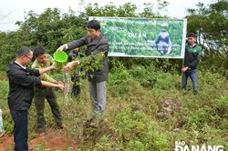 Trăn trở với công tác bảo tồn đa dạng sinh học