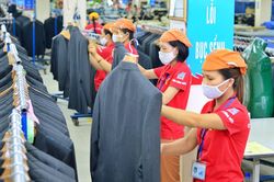 Cần thiết hình thành sàn giao dịch việc làm trực tuyến quốc gia