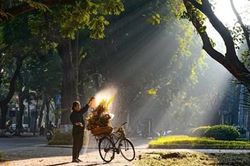 Thời tiết hôm nay (20-9): Bắc Bộ ngày nắng, đêm mưa rào