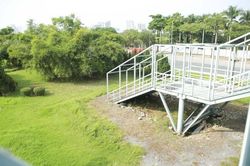 Hà Nội: Kỳ lạ cầu vượt bộ hành đưa người đi bộ xuống vườn cây