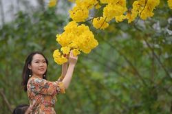 Thời tiết Hà Nội 10 ngày tới: Nắng nóng liên tiếp