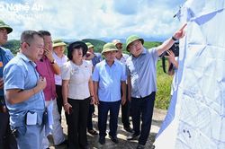 Giám sát việc chuyển đổi mục đích sử dụng rừng thực hiện Dự án Hồ chứa nước Bản Mồng