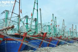 Bàn giải pháp chống khai thác hải sản bất hợp pháp