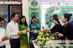 Xúc tiến thương mại: Mở rộng thị trường, nâng cao giá trị nông sản