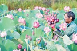 Người nông dân có quyền làm giàu trên mảnh đất của mình