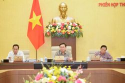 Chặt chẽ hơn trong quy định hưởng chế độ bảo hiểm xã hội một lần