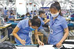 Sau 8 tháng, dệt may TCM ước lãi sau thuế giảm 26%