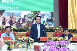 Hoàn thiện kết nối hạ tầng để Tây Nguyên phát triển đúng tiềm năng