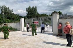 Yêu cầu 328 trang trại nuôi lợn tạm ngừng nuôi gia công cho 4 doanh nghiệp