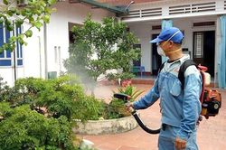 Thường Tín có 15 ổ dịch sốt xuất huyết đang hoạt động