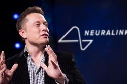 Neuralink thử nghiệm cấy chip lên não người