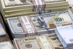 Tỷ giá USD hôm nay (21-9): Đồng USD phục hồi trở lại