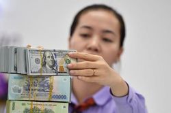 Tỷ giá tăng tác động như thế nào tới nền kinh tế?