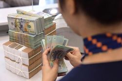 Bỏ qua tác động từ Fed, giữ vững nền lãi suất thấp hỗ trợ GDP