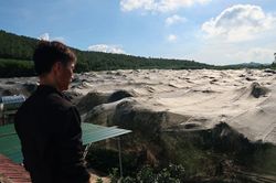 Giăng màn 'khổng lồ' cho cam, người nông dân bỏ túi tiền tỷ mỗi năm