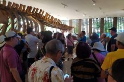 Tàu biển Spectrum of the Seas đưa 4.000 du khách quốc tế đến Khánh Hòa