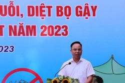 Quận Hoàng Mai: Phát động chiến dịch diệt muỗi, bọ gậy phòng, chống sốt xuất huyết