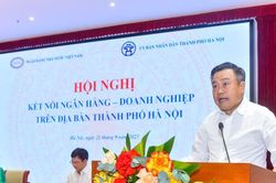 Kết nối ngân hàng – doanh nghiệp: Cùng đồng hành vượt khó