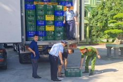 Nghệ An: Phát hiện 8 tấn gà đông lạnh không rõ nguồn gốc, đã bốc mùi hôi thối
