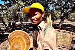 Tìm thấy thi thể già làng đi lạc trong Vườn quốc gia Cát Tiên