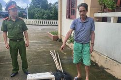 Quảng Ninh xử lý trường hợp săn bắt chim hoang dã