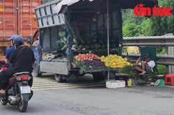 Nguy cơ mất an toàn giao thông từ những xe tải bán hàng lưu động