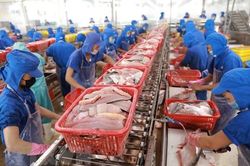 Xuất khẩu thủy sản trở lại 'đường đua'