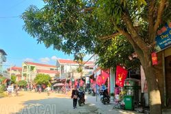 Niềm tự hào của thôn Trung Tâm