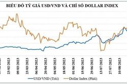 Tỷ giá VND/USD không còn là rủi ro lớn với thị trường chứng khoán