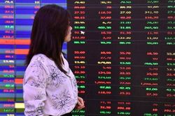 Cổ phiếu nằm sàn hàng loạt, VN-Index rơi vào tình trạng nguy hiểm