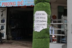 Quấn cỏ nhựa quanh trụ điện để xóa quảng cáo rao vặt, chuyên gia nói gì?