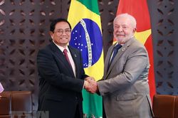 Đưa mối quan hệ giữa hai nước Việt Nam và Brazil lên tầm cao mới