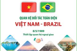 Quan hệ Đối tác toàn diện Việt Nam - Brazil