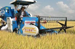 Xây dựng chuỗi sản xuất, xuất khẩu gạo bền vững