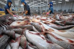 Xuất khẩu thủy sản năm 2023 có thể mang về 9,2 tỷ USD