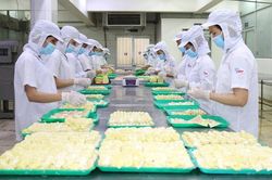 Doanh nghiệp lưu ý chứng nhận xuất xứ hàng hóa khi xuất khẩu vào EU