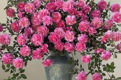 Tử vi Chủ Nhật 24/9/2023 của 12 cung hoàng đạo