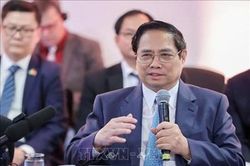Thủ tướng Phạm Minh Chính: Ủng hộ mở Văn phòng Thương mại và Công nghiệp Brazil tại Việt Nam để thúc đẩy hợp tác đầu tư, kinh doanh