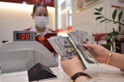 Tin tức kinh tế ngày 24/9: Đồng USD đạt mức cao nhất trong 6 tháng