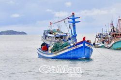 Phối hợp tổng kiểm tra, chống khai thác IUU