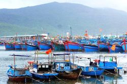 Ứng phó với áp thấp nhiệt đới: Quản lý chặt chẽ tàu bè ra khơi