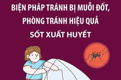 Biện pháp tránh bị muỗi đốt, phòng tránh hiệu quả sốt xuất huyết