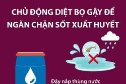 Chủ động diệt bọ gậy để ngăn chặn sốt xuất huyết